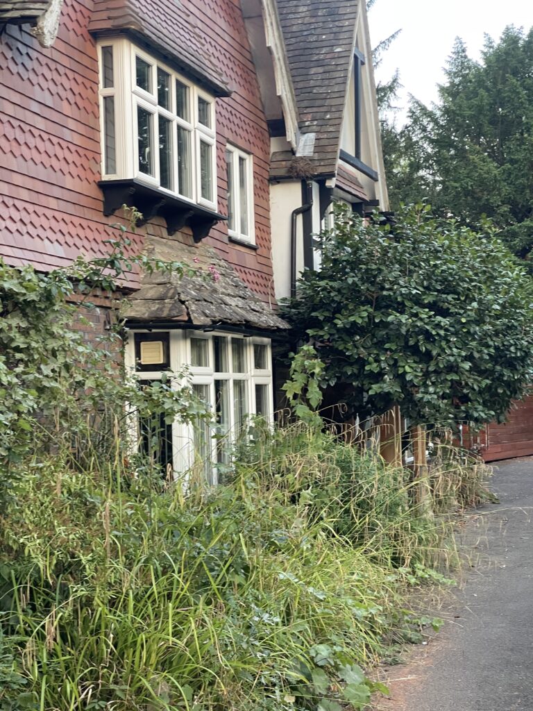 Psychotherapy at the Oriental College of Medicine, East Grinstead